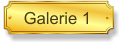 Galerie 1