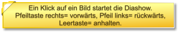 Ein Klick auf ein Bild startet die Diashow. Pfeiltaste rechts= vorwärts, Pfeil links= rückwärts, Leertaste= anhalten.